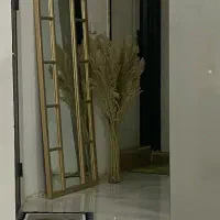 کاملا نو هستش اینه طلایی