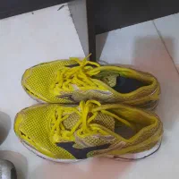 کفش اسپرت|کیف، کفش، کمربند|صدرا-فارس, فاز ۱|دیوار