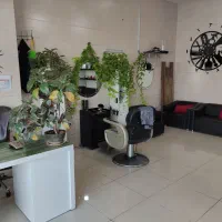 پیرایش جزیره واگذار میگردد|آرایشگاه و سالن‌های زیبایی|کیش, |دیوار