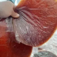 لواشک ترش 200000|خوردنی و آشامیدنی|فیرورق, |دیوار