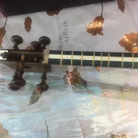 تار حرفه ای خجسته|سازهای سنتی|کرمان, |دیوار