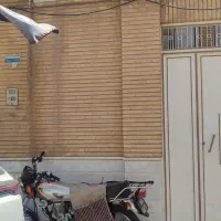 فروش خانه مسکونی