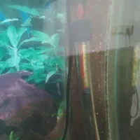 آکواریوم همراه لوازم کامل|ماهی|ملایر, |دیوار