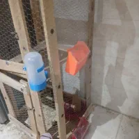 جفت کن کفتر|لوازم جانبی حیوانات|مهریز, |دیوار