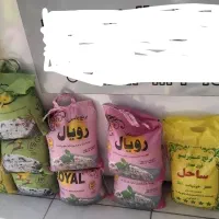 برنج پاکستانی ۳۸۶ باسمتی متوسط اعلا