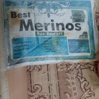 فرش ۱۲ متری و دو تا ۶ متری و یک گلیم فرش|فرش|آبیک, |دیوار