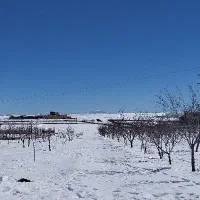 اجاره منزل،سوئیت چادگان