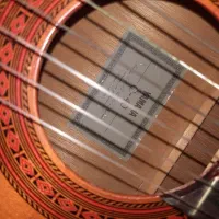 گیتار یاماها اصل|گیتار، بیس، امپلیفایر|بندر انزلی, پردیس|دیوار