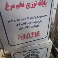 کارتن تخم مرغ