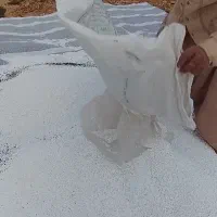 گونی
