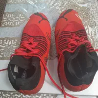 کفش چمنی (استوک)