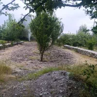 زمین-فروشی