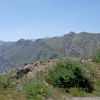 طبیعت گردی