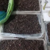 پخش کشمش افتابی سرکه ای|خوردنی و آشامیدنی|ارومیه, |دیوار