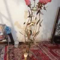 اباژورد درحد نو