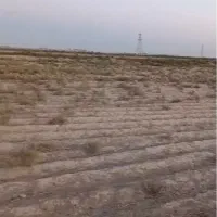 زمین کشاورزی گلخانه ای باغی|فروش زمین و ملک کلنگی|ورامین, ورامین|دیوار