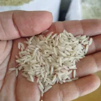 برنج شمال و هندی|خوردنی و آشامیدنی|اصفهان, کوی امیریه|دیوار