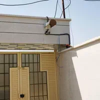 نصب تخصصی دوربین مداربسته و دزدگیر|خدمات پیشه و مهارت|بوشهر, |دیوار