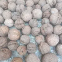 گردوی آستانه