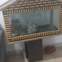 آکواریوم کلبه