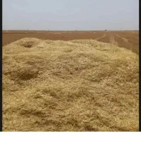 کاه