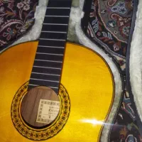 گیتار کلاسیک اسپانیایی استیو Esteve 8|گیتار، بیس، امپلیفایر|قوچان, |دیوار