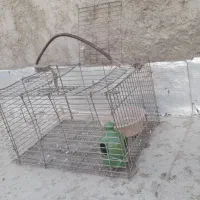 قفس جفتکن آهنی  مخصوص جوجه کشیی معاوضه با کفتر