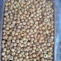 انجیر شیراز|خوردنی و آشامیدنی|مشهد, گلبرگ|دیوار