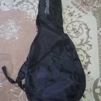 کیس گیتار درحدنو