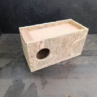 لانه پرنده|لوازم جانبی حیوانات|اندیمشک, |دیوار