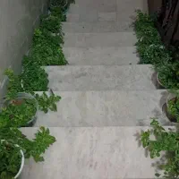 نظافت ماشین و اتاق شما رو میکنم