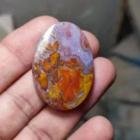 نگین شجر گل اناری