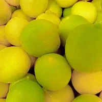 فروش آبلیمو و لیمو
