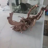 ابنوس اکواریوم|لوازم جانبی حیوانات|اسلامشهر, شهرک واوان|دیوار