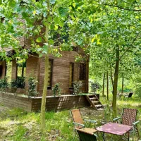 جایی برای یک زندگی آرام ویک سرمایه گذاری ایده آل