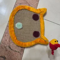گربه خانگی|گربه|کرج, کوی زنبق|دیوار