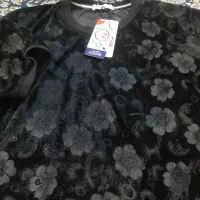 تیشرت استین کوتاه|لباس|رشت, فلسطین|دیوار