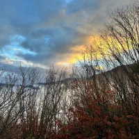 ضمانت.با فیش کارمندی و سندبرای زندانی یا غیره