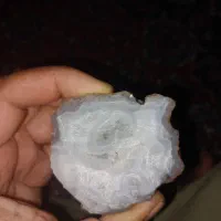 گرگان