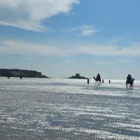 تور یک روزه جزیره قشم از زیباترین نقاط|تور و چارتر|قشم, |دیوار