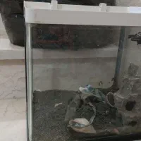 اکواریوم خم و تجهیزات کامل