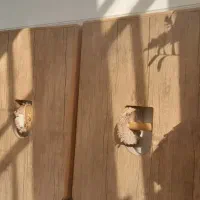 سنگ زورخانه