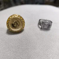 بدلیجات رنگ ثابت|بدلیجات|شیراز, زرهی|دیوار