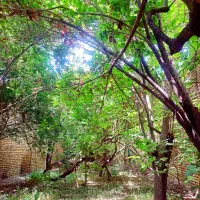 تور سفر شمال شاندرمن ۳ روز و ۲ شب