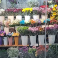 گل فروشی فرهادی فیروزآباد فارس