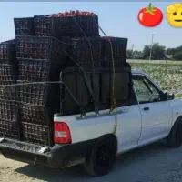 وانت بار تلفنی 24ساعته در تمام ساعت از شبانه روز