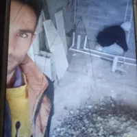 لوله کشی اب وفاضلاب  ونصب و۰۰۰۰۰|خدمات پیشه و مهارت|بجنورد, |دیوار