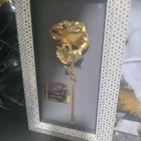 گل طبیعی زیبا وجذاب