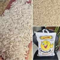 برنج پاکستانی محسن طلایی