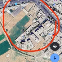 گربه|حیوانات|میاندوآب, |دیوار